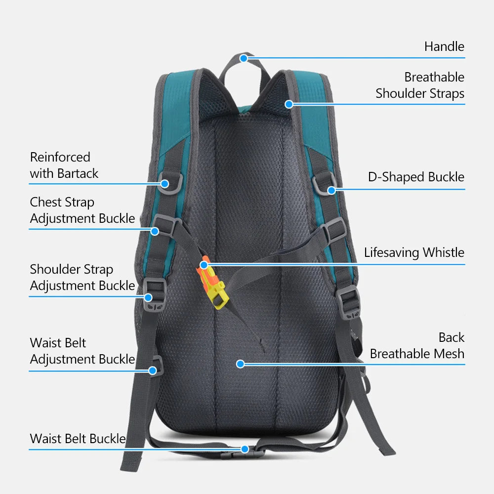 20L Water-Resistant Hiking & Travel Backpack